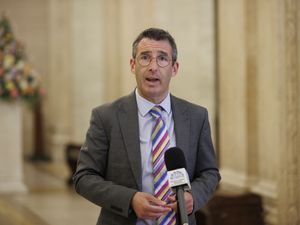 Supporting image for story: Avian influenza prevention zone to be introduced in NI