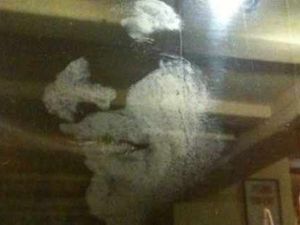Supporting image for story: Mystery face appears in 'haunted' pub's window