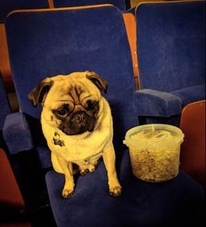 Supporting image for story