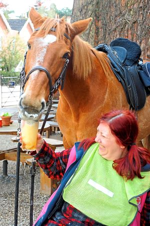 Horse Layla loves a pint of Enville