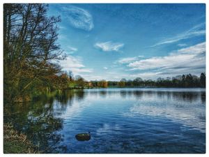 Supporting image for story: Woman rescued by firefighters after falling into icy lake while trying to rescue dog