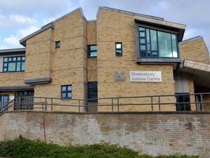 Supporting image for story: Guilty plea after Telford violence