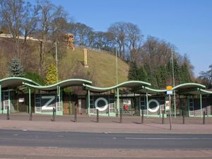 Supporting image for story: Dudley Zoo keepers join in social media dance 