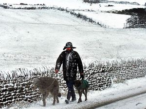 Supporting image for story: Dreaming of a white Christmas? Don't bet on it
