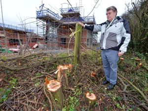 Supporting image for story: Annoyed residents accuse builders of excess noise and damaging trees
