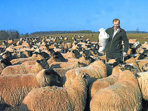 Supporting image for story: Government shake-up could threaten landscape, Shropshire farmers warn
