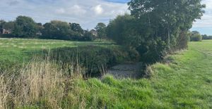 Bloor Homes' plans for up to 210 homes is near the Rea Brook. Picture: Pegasus Group