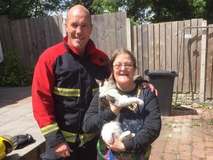 Supporting image for story: Firefighter scales 40ft tree to rescue not so 'Lucky' cat stuck for four days