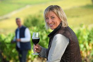 Tour a local vineyard