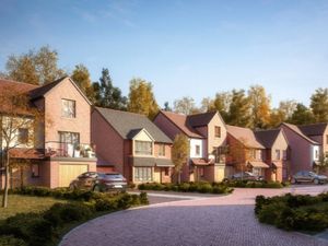 Supporting image for story: ‘Death sentence’ fears over development in Walsall