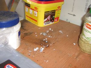 Rat droppings and fragments from food wrappers.Credit @SandwellCouncil