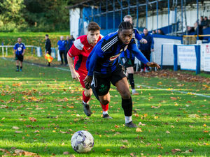 Supporting image for story: Magnificent seven for Lye
as they gun down Casuals