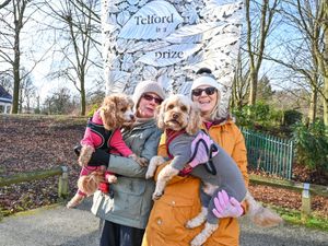 Supporting image for story: 'We live in West Midlands town which is the UK's dog capital - where people spend more on their pets than their kids'