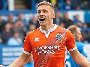 Supporting image for story: Comment: Shrewsbury Town spirit stands them in good stead