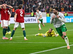 Supporting image for story: Troy Parrott hat-trick earns Republic of Ireland a World Cup play-off spot