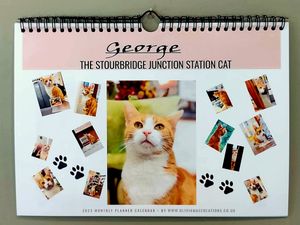Supporting image for story: Stourbridge Junction's George the cat raises cash with own merchandise