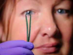 Supporting image for story: Shropshire's super smooth ancient Romans were 'trendsetters' of hair removal