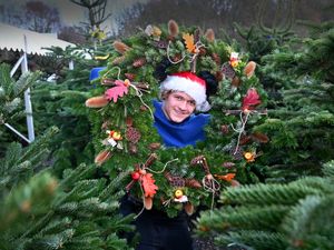 Supporting image for story: Christmas is truly here as loved tree business opens its doors in South Staffordshire