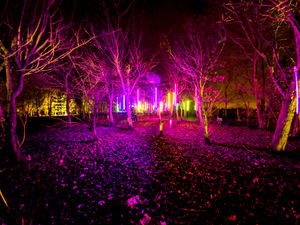 Supporting image for story: National Memorial Arboretum to host illuminations event