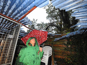 Supporting image for story: Shropshire 'tornado' damage: Animal rescue centre left wrecked receives £5,000 in donations