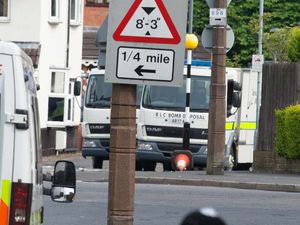 Supporting image for story: Ukrainian mosque terror suspect in court