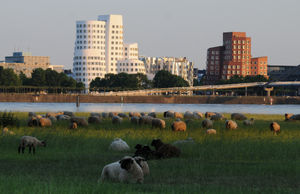 Supporting image for story