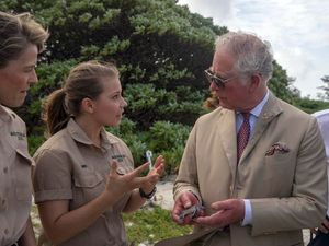 Supporting image for story