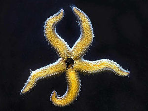 Supporting image for story: Shropshire's Alex captures a picture with real depth