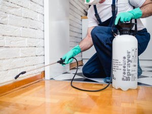 Supporting image for story: Trade body highlights crucial work in Shropshire for World Pest Day