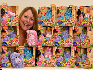 Supporting image for story: The Telford toy company making its mark on the global stage   