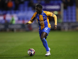 Supporting image for story: Shrewsbury Town confirm young loanee has returned to Premier League club