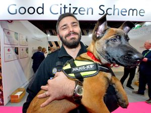 Supporting image for story: Crufts 2020: Tickets on sale for annual Birmingham event