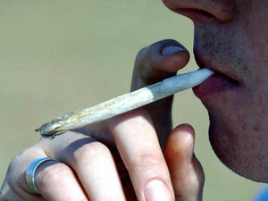 Supporting image for story: West Midlands cannabis possession arrests rise by 40 per cent