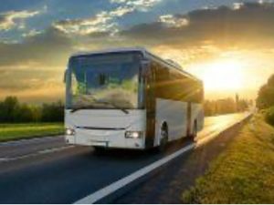 Supporting image for story: A £2 flat bus fare for all journeys could be on the way for Powys