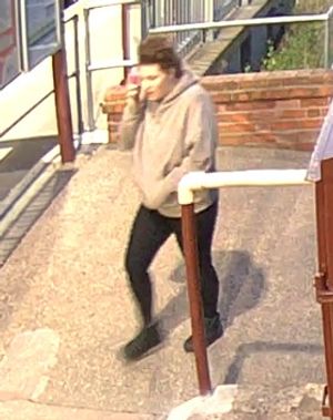 Danika, 15, from Telford was last seen at her home in Ketley on Tuesday. Picture: Telford & Wrekin Police