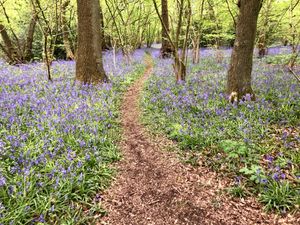 Supporting image for story: Sun beckons after a damp start to our early summer