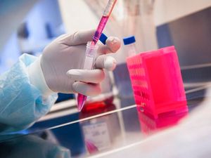 Supporting image for story: Andy Richardson: The battle is not yet won - but it will be