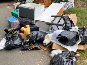 Supporting image for story: Rubbish dumped in lane sparks appeal