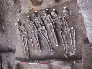 Supporting image for story: We've seen it all before, says Shropshire historian David
