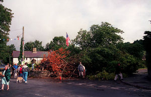Shocked villagers take a close look at the fallen tree in September 1995.