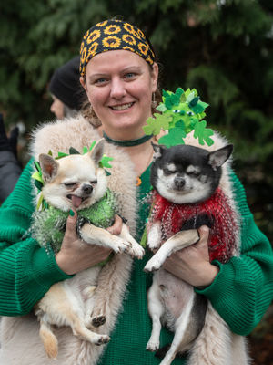 Wolesley Wassail 2026 (photos Ian Knight from Z70 Photography)
