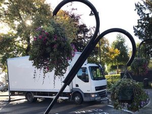 Supporting image for story: Hanging baskets knocked over in Wellington