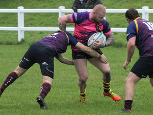 Supporting image for story: Derby win leaves
Hornets buzzing
towards the top