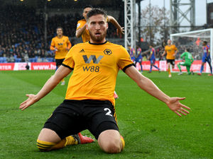 Supporting image for story: Crystal Palace 0 Wolves 1 – Report and pictures 