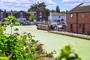 The normally clear waters around Stourport-on-Severn's Basin have been transformed into a swamp-like state.