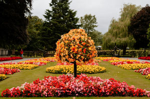  Cae Glas Park in Oswestry looking colourful.