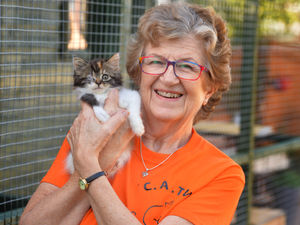 Supporting image for story: Whitchurch charity's plea for help as cost crisis forces it to stop taking in cats  