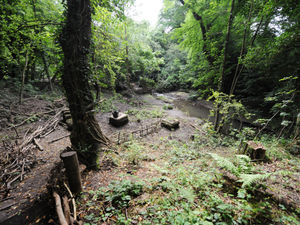 Supporting image for story: Man dies at Saltwells Nature Reserve after cardiac arrest