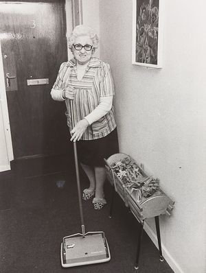 Worcester House, Halesowen, was the first to benefit from a pioneering Dudley Council plan to turn the flats into luxury apartments with a "no children" policy, to reduce vandalism and move families out of high rise blocks. The photograph shows Alice Fellows using a carpet sweeper in January 1980.