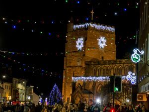 Supporting image for story: Newport asked to end reindeer use in Christmas events